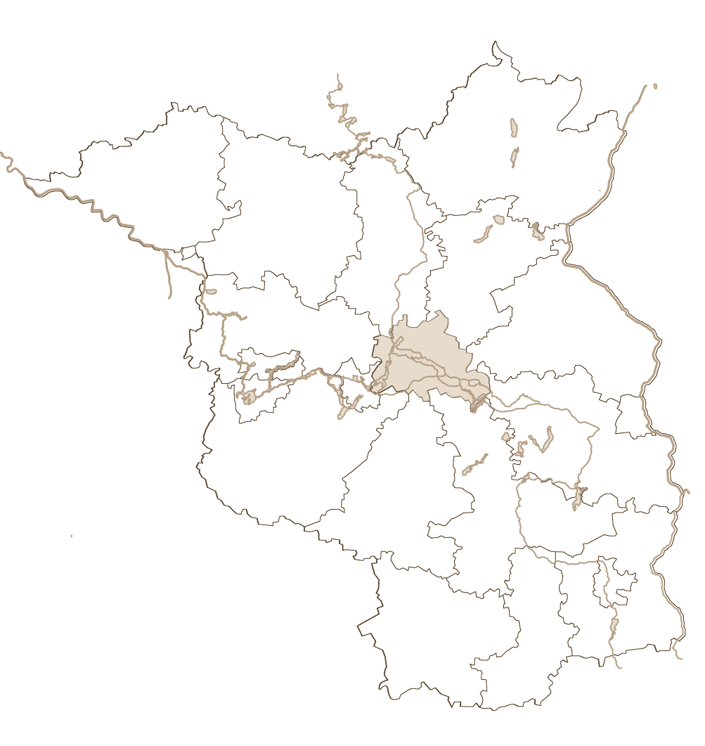 Brandenburg_Moorbueffel_2